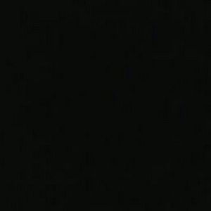 Meet your Posher, Julian